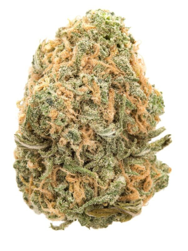 Auto Blue Dream Seeds - Image 2